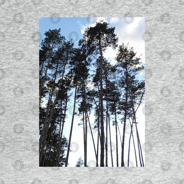 Pine Tree Silhouette by SPACE ART & NATURE SHIRTS 